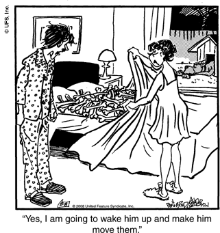 marmaduke